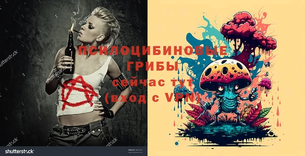 МДМА Коряжма