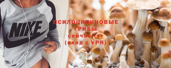 соль ск Корсаков