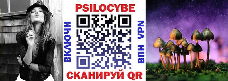 Псилоцибиновые грибы Psilocybine cubensis  Купить закладки  Хилок 